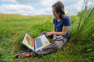 En 2015, certains individus ont été équipés d‘enregistreurs GPS (GPS Data Logger) afin d‘étudier leurs déplacements et l‘occupation des sites d‘activités. Les résultats ont permis de localiser des secteurs de ponte jusque-là inconnus.